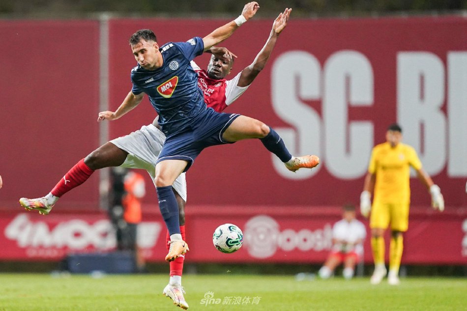 经历起伏 经历起伏